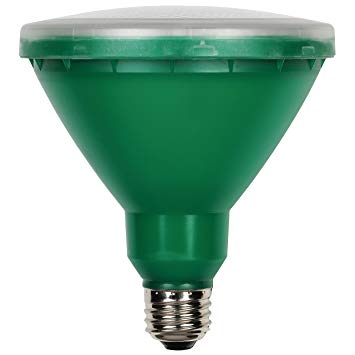 Westinghouse Lighting 0314900 15W PAR38 LED Outdoor Bulb, Flood Green E26 (Medium) Base, 120V, Box