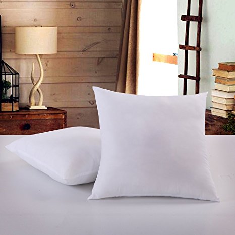 Square Polyester Pillow Insert, 2 Pack Pillows Form Insert by Btwzm (20" L X 20" W, White)