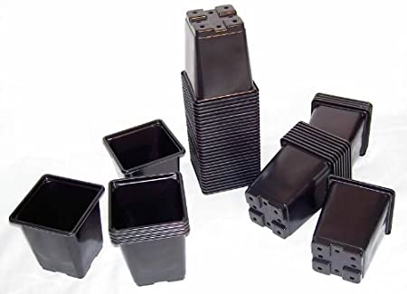 Elixir Gardens ® Square Plant Pot Black Plastic Plant Pots | 7cm x 7cm x 7cm | 100