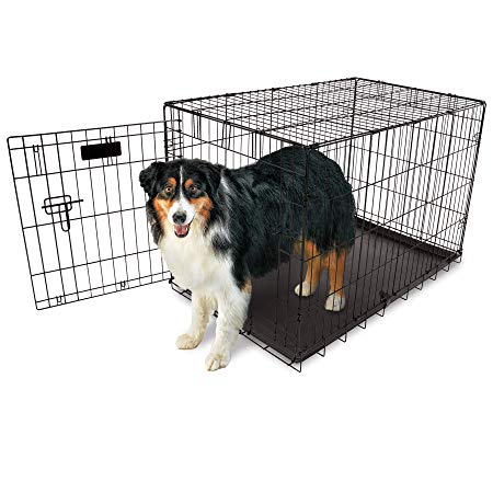 Aspen Pet Single-Door Home Training Crate