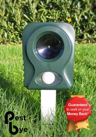 Pestbye Battery Operated Cat Repeller V2 - Easy To Use Ultrasonic Cat Scarer with HyperResonance Frequency