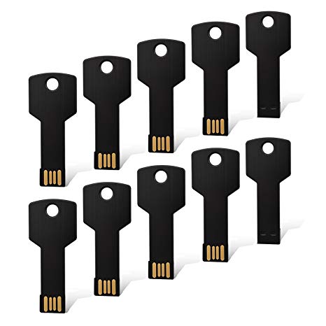 RAOYI 10PCS 2G USB Flash Drive Metal Key USB Key Design Pen Drive USB 2.0 Black