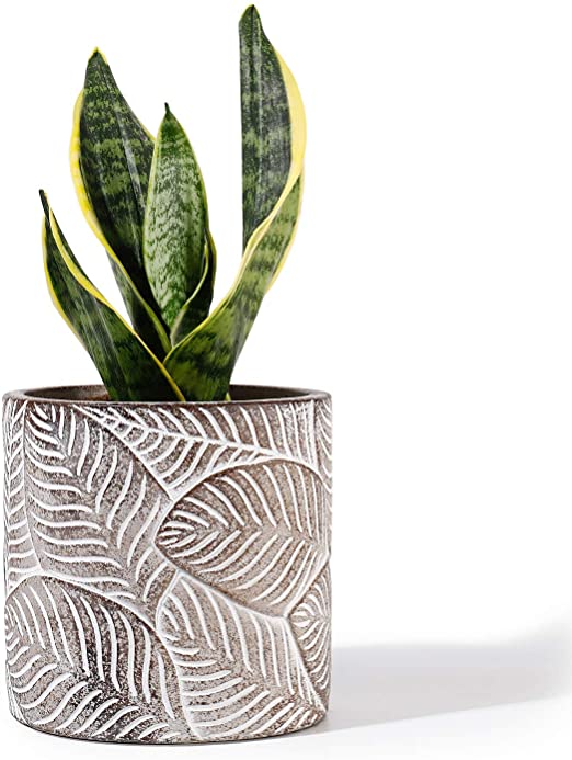 POTEY Cement Planter Flower Pot - 4.7 Inches Vintage Indoor Plants Containers Unglazed Medium Bonsai Concrete with Drain Hole - Bronze, Leaves Embossment