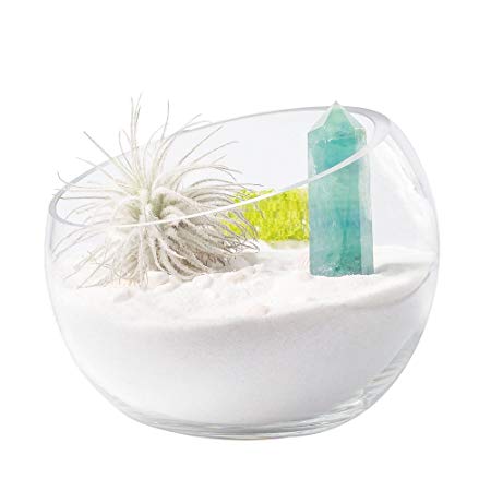 Mkono Air Plant Terrarium Globe 5 7/8Inch Succulent Glass Planter Container Bowl Shaped