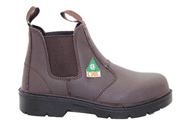 Dolphin D5 CSA Approved Safety Shoes, Construction Boots, Work Shoes