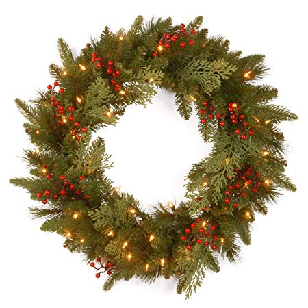 National Tree 24 Inch Feel Real ® Classical Collection Wreath with 8 Red Berries, 8 Cedar Leaves and 50 Battery Operated Warm White LED Lights with Timer (PECC3-300-24WB1)