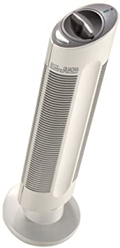 Ionic Breeze Quadra Silent Air Purifier, Original Silent Air Cleaner, Now with OzoneGuard - Gray (SI837GRY)