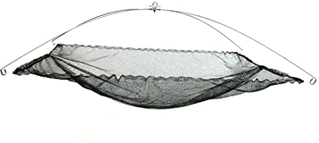 Ranger Umbrella Minnow Net with Poly Netting (36-Inch x 26-Inch)