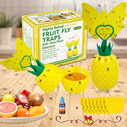 Fruit Fly Trap with Sticky Pads, Gnat Trap with Bait for Indoor and Outdoor, Effective Fly Catcher Fruit Fly Killer Sticky Gnat Traps, Non-Toxic and Odorless Fly Trap for Plant/Home/Kitchen(2 Pack)