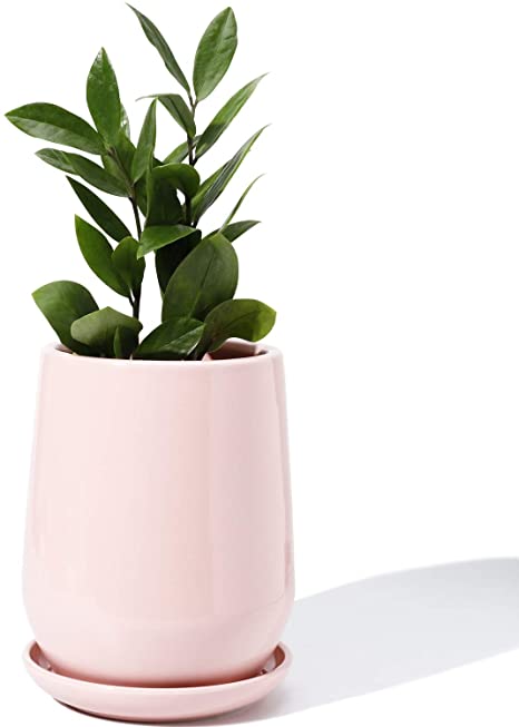 POTEY 050303 Plant Pot with Drainage Hole & Saucer - 5.3 Inch Shiny Pink Glazed Ceramic Planters Indoor Bonsai Container for Plants Flower(Plants Not Included)