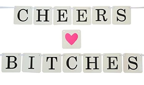 Cheers Bitches Banner - Bachelorette Party Decorations