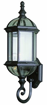 Trans Globe Lighting 4180 BK 22-1/4-Inch 1-Light Outdoor Wall Lantern, Black