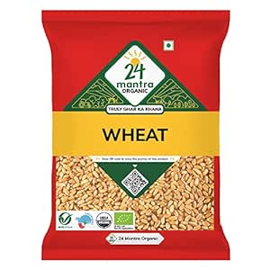 24 Mantra Organic Wheat Premium/Gehoon/Godhuma - 100% Organic | Chemical Free & Pesticides Free | Rich & Strong Flavour (1 Kg (Pack Of 1))