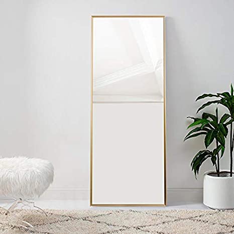 NeuType Rectangle Full Length Mirror Hanging Mirror Wall-Mounted Dressing Mirror (Golden (59"x20"))
