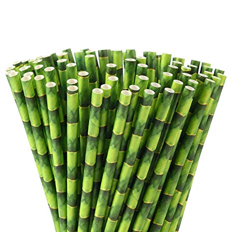 ALINK Green Bamboo Paper Straws, Biodegradable Party Drinking Straws, Pack of 100