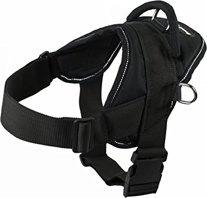 Dean and Tyler DT Dog Harness, Black with Reflective Trim