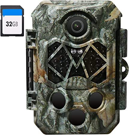 4k camera trap