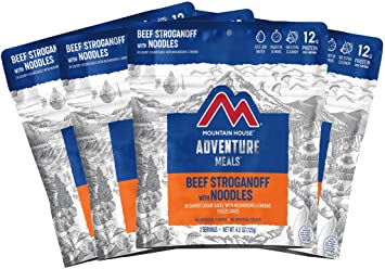 Mountain House Beef Stroganoff | Freeze Dried Backpacking & Camping Food | Survival & Emergency Food