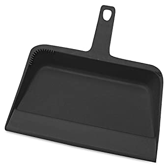 Genuine Joe GJO02406 Heavy-Duty Plastic Dust Pan, 12-inch