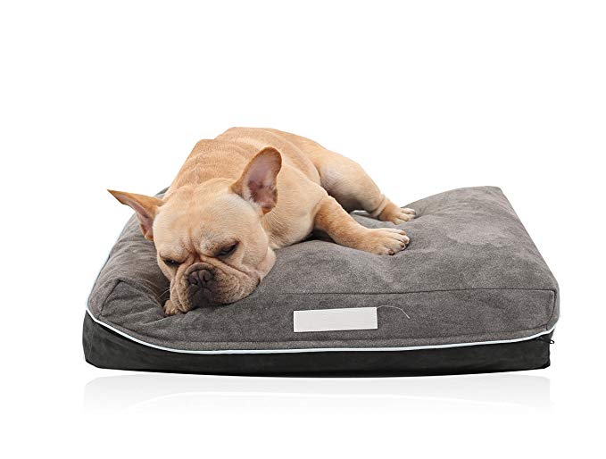 Laifug Double-Side Pet/Dog Bed with Removable Washable Cover