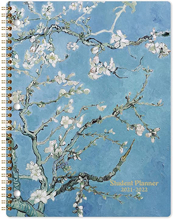 Student Planner 2021-2022 - Academic Planner from Jul 2021 - Jun 2022, 11’’ × 9’’, Weekly & Monthly Planner, Weekly Lesson Planner with Strong Twin-Wire Binding, Stickers, Premium Papers