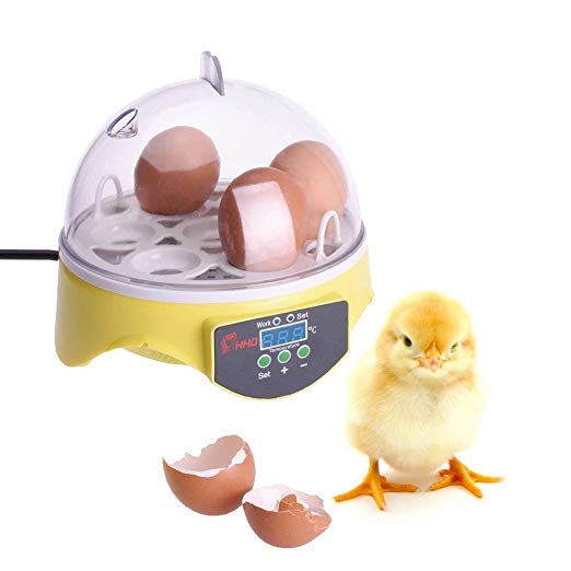 KUPPET 7 Egg Incubator Mini Digital Automatic Egg Hatcher for Chicken Goose Duck Poultry etc - Temperature Control-Yellow (7 Eggs)