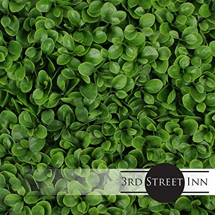 Artificial Hedge - Outdoor Artificial Plant - Great Boxwood and Ivy Substitute - Sound Diffuser Privacy Fence Hedge - Topiary Greenery Panels (12, Jasper)