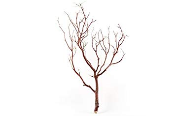 Koyal Wholesale Real Manzanita Branches, 24-Inch, Natural Brown