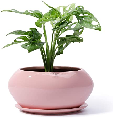 POTEY Ceramic Plant Flower Pots - 6.9 Inch Planter Bonsai Medium Container Large Space - Drain Hole with Saucer, Pink