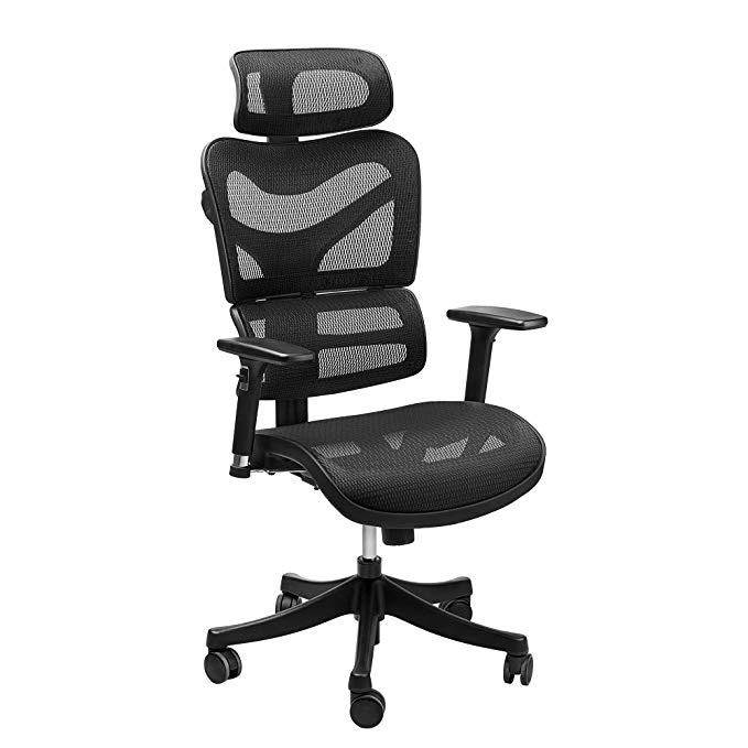 Ergonomic Office Chair, Mesh Computer Desk Chair High-Back Task Chair with Lumbar Support, Adjustable Headrest & Arm Rests&Seat Height, 3D Flip-up Arms (Suitable Height: 5'5''~6'3'')