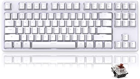 RK987 Tenkeyless Mechanical Keyboard 87 Keys White LED Backlight Gaming Keyboard, Wired/Wireless Bluetooth Keyboard Gaming/Office for iOS Android Windows MacOS and Linux