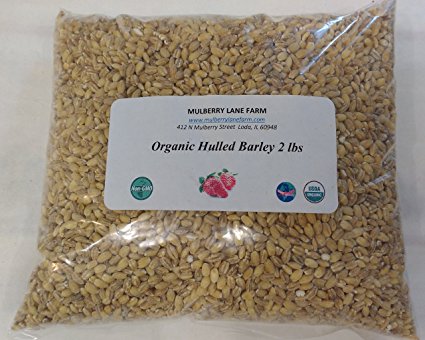 Barley, Hulled, 2 lbs (Two Pounds), (dehulled), USDA Certified Organic, Non-GMO, BULK.