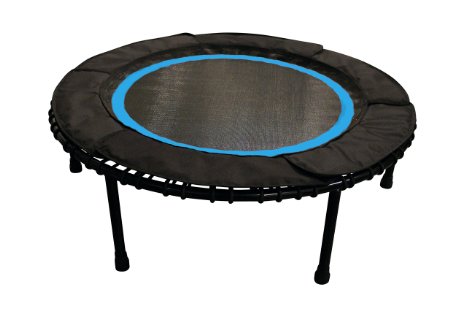 Leaps & ReBounds (Bungee) Fitness Rebounder - Exercise Trampoline