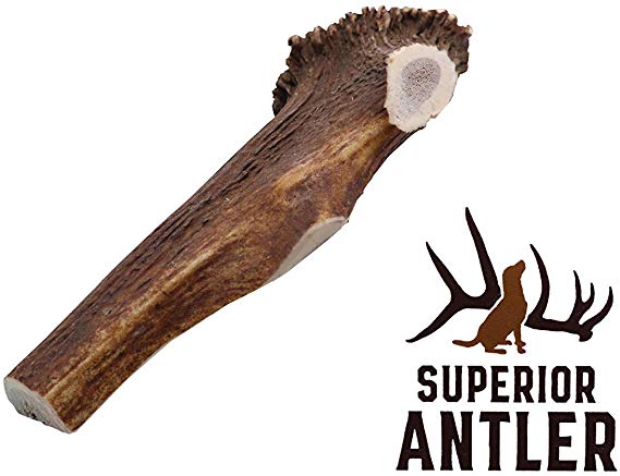 1-X Large Antler, Split, Single Pack - XL All Natural Premium Grade A. Antler Chew. Naturally Shed, Hand-Picked, and Made in The USA. NO Odor, NO Mess. Guaranteed Satisfaction. for Dogs 45 LBSL