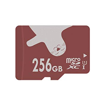 ALERTSEAL 256GB Micro SD Card U1 SDXC Memory Card Class 10 for Smart Watch/Phone with microSD to SD Adapter(U1 256GB)