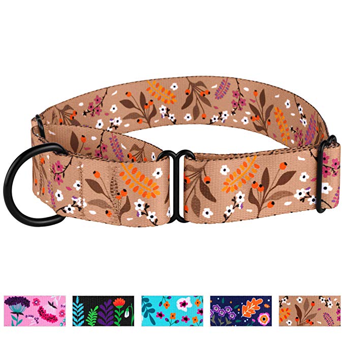 CollarDirect Martingale Collars for Dogs Heavy Duty Floral Pattern Female Safety Nylon Training Wide Collar Flower Design Large Medium