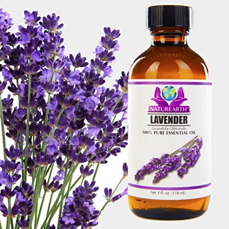 NaturEarth French Lavender Oil 4 oz 100% Pure Premium Essential Oil w/FREE SHIPPING