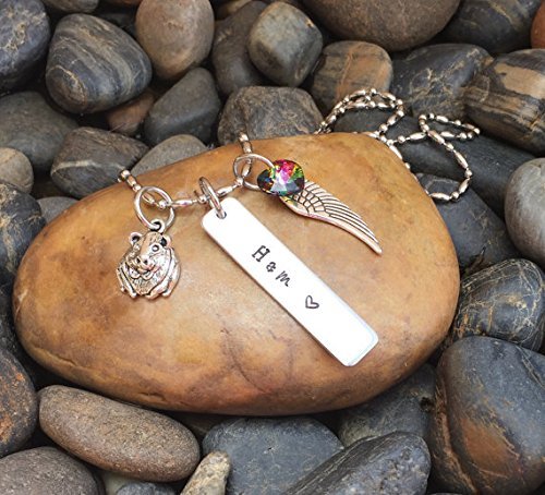 Guinea Pig Memorial Necklace | Hamster Memorial Jewelry | Pet Memorial Jewelry | Rainbow Bridge Jewelry | Pet Sympathy Gift | Pet Keepsake