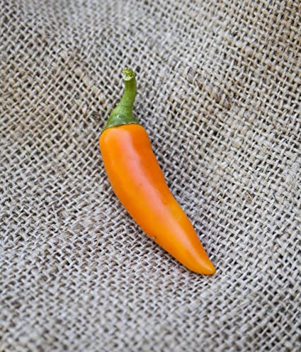 Bulgarian Carrot Shipkas Pepper HeirloomPremium Seed Packet   More