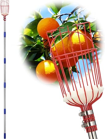 Fruit Picker Pole with Basket Long Handle, 10FT Adjustable Fruit Catcher Tool for Apple Mango Pear Orange Avocado Lemon Citrus Tree Picker