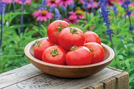 PREMIER SEEDS DIRECT - Tomato - Crimson Crush F1-10 Seeds