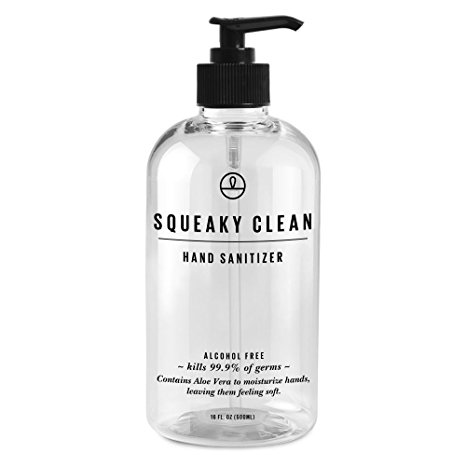 Squeaky Clean Alcohol Free Instant Hand Sanitizer with Moisturising Aloe Vera 16oz. This Advanced Antibacterial Gel Comes in a Handy Pump Bottle