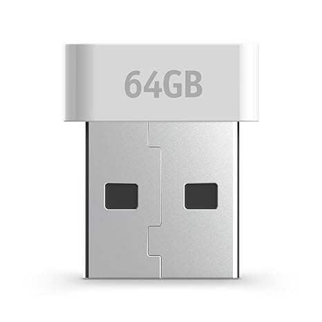 Blink USB flash drive for local video storage