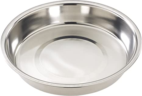 Ethical 10-Inch Stainless Steel Puppy Dish
