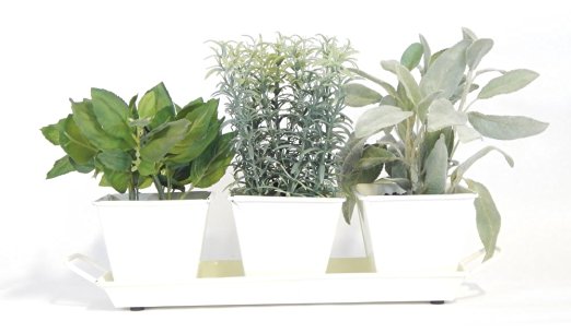 Windowsill Herb Garden Kit (Cream White) - Metal Planters, 5 Herbs, Soil and Labels