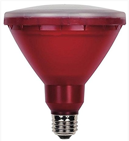 Westinghouse 03147 11PAR38/LED/R Red LED 11W Par 38 Lamp Home Lighting