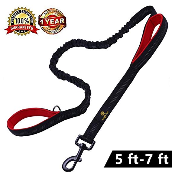 Retractable Dual Handle Dog Leash - Shock Absorbing Reflective Strong Bungee Lead Soft Padded 2 Handles for Traffic Safety Control Training by Snagle Paw, 5 to 7 Feet, Perfect for Medium to Large Dogs