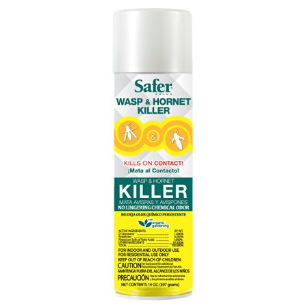 Safer Brand 14-Ounce Aerosol Wasp and Hornet Killer 5730