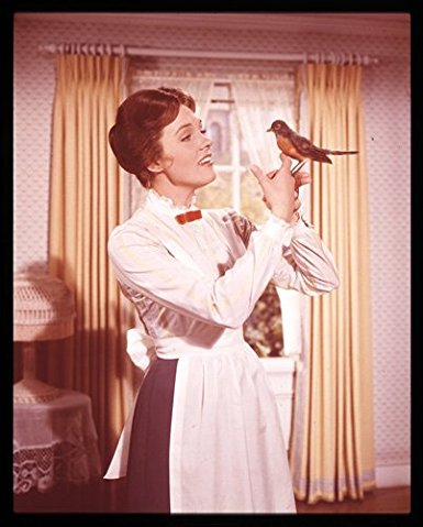 Julie Andrews Classic Mary Poppins Image With Bird Original 5X4 Transparency