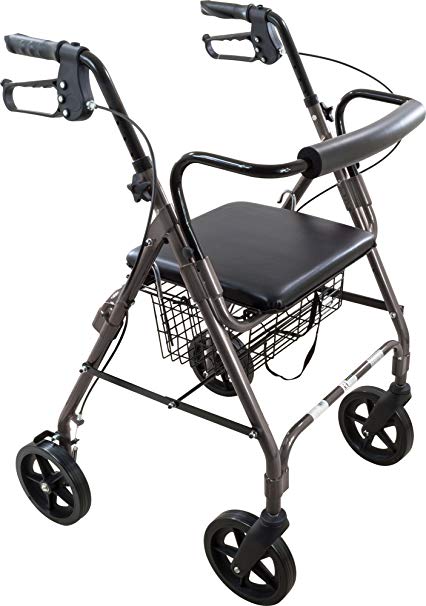 ProBasics 4 Wheel Medical Rolling Walker with Wheels, Seat, Backrest and Storage Pouch - Rollator Walker for Seniors- Durable Aluminum Frame Supports up to 300 lbs, 8-inch Wheels, Black